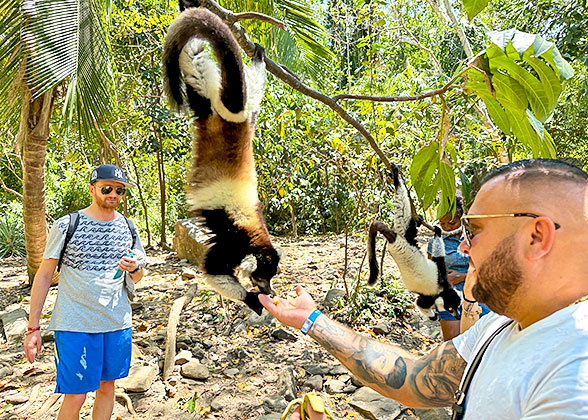 Enjoy Close Contact with the Lemurs