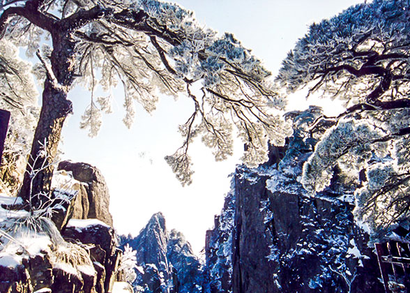 Mt. Huangshan in Winter