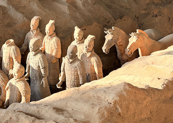 Vivid Terracotta Warriors